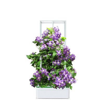 China New Product Ideas 2022 Indoor Herb Garden Relay Hydroponic Plant Pots For Hydroponic Plant Garden Growing Planter Grow Box With Trellis for sale