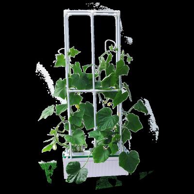 China Hot Sale Indoor Herb Garden HH Amazon Hot Selling Flower Pots Hydroponics Indoor Garden Self Watering Growing Kit Systems for sale