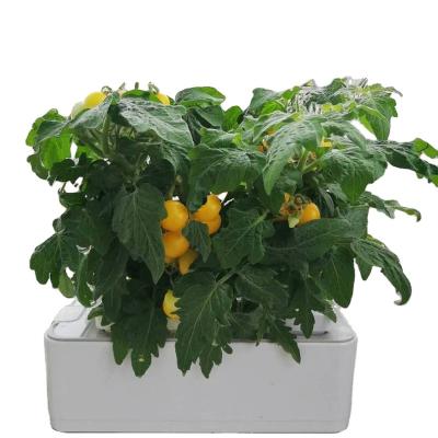 China Modern high quality wholesale manufacturer china cheap indoor white plastic self small self watering plant smart pots for plants flower for sale