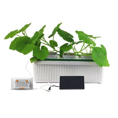 China China Relay Factory Direct Sale Waterproof Wholesale Hydroponic Grow Kit Balcony With Smart Charger Solar Cabinet Indoor Garden for sale