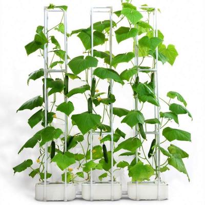 China Good Quality Modern Irrigation And Smart Hydroponics Equipment Indoor Lazy Planters Hydroponic System for sale