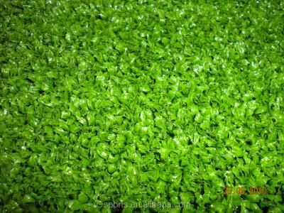 China PE monofilament artificial grass for cricket field cricket pitch/synthetic turf for cricketer for sale