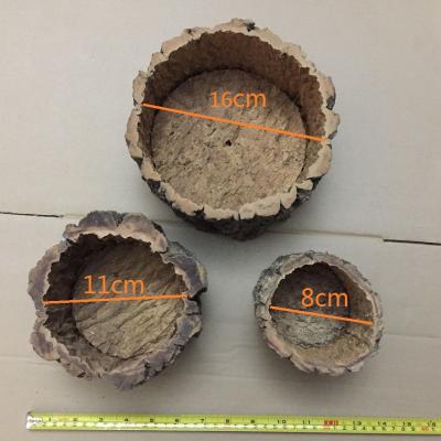 Cina Piantatrice rotonda della corteccia del sughero della natura per il giardinaggio, le orchidee, o i succulenti in vendita