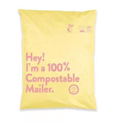 China Tear-proof/Nice Strong Adhesive Opaque Printing Customized Mailing Packaging Express Messenger Bag Polyethylene Mailing Pouch for sale