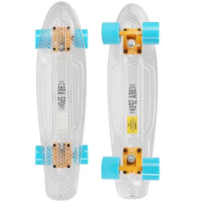 China Youth Mini Skateboard With Top Design Mini Cruiser Skateboard For Beginners With Soft PU Wheels Trick Skate Board for sale