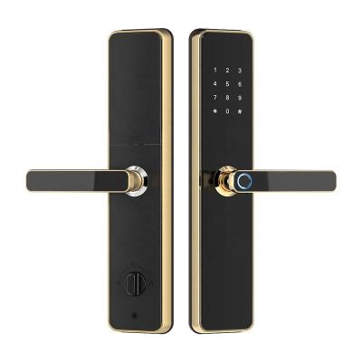 China Code Anti-peep Smart Lock Fingerprint Jiangmen Electronic Smart Fingerprint Keyless Entrance Door Lock Guangdong for sale