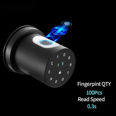 China FS-1 Popular FIAS Digital Fingerprint Fingerprint Tuya Office Home Room Keyless Smart Ball Code Ball Password Lock FS-1 for sale