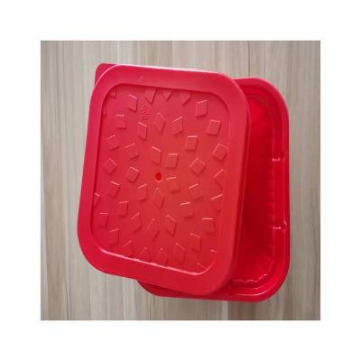 China Factory direct wholesale recyclable storage fruit bento box plastic dropshipping for sale