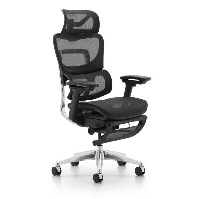 China Modern Rotating Swivel Mesh Ergonomic Chair With Adjustable Best Quality Computer Footrest For Home Office for sale