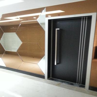 China Modern Entrance Front Doors Modern Apartment Building Security for sale