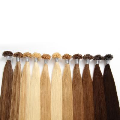 China Hot Cuticle Aligned Flat European Hot Extensions Tangle Free 100% Virgin Remy Hair Extensions Pre Bonded Keratin Tip Hair Fusion Hair Wholesale for sale