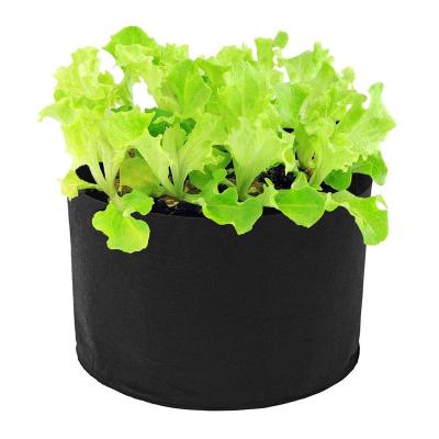 China 5 Gallon Black Fabric Breathable And Water Permeable Customized Vegetable Organic Mushroom Tomato Potato Mushroom for sale