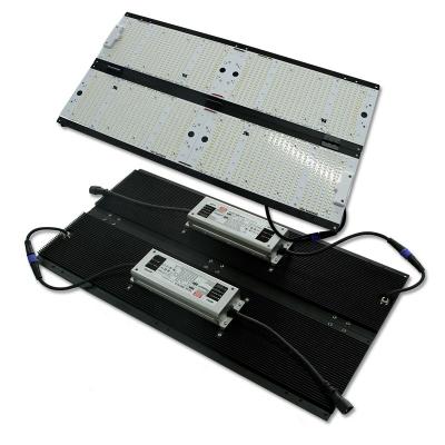 China Seed Starting 600W Lm301b Grow Light With Samsung LED Chips And Middle Good Driver LED Grow Light Bar for sale