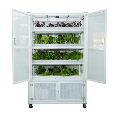 China Waterproof Mini Hydroponic Growing Systems Grow Cabinet China Grow Box With Plants Growing Box Outside for sale