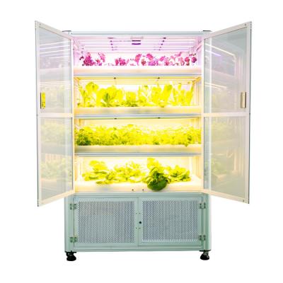 China Waterproof Automatic Mini Hydroponic Professional Commercial Grow Box Smart Indoor Cabinet Grow Tent Complete Kit for sale