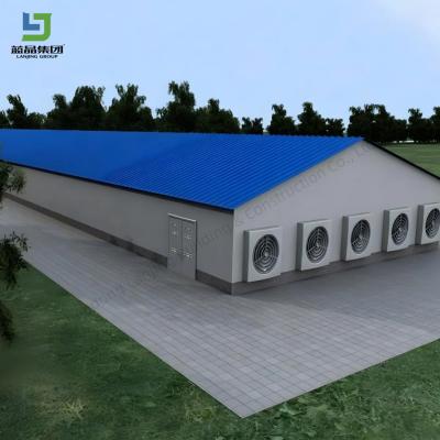 China Prefabricated Farm Steel Structure Open Colsed Broiler Poultry Chicken Houses Fully Automated Chicken Farming Equipment Cow Barn Shed for sale