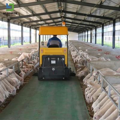 China Prefabricated Steel Structure Cow House Farm Farm Shed Full Equipment for sale