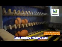 custom size steel structure poultry house galvanized steel multi functional