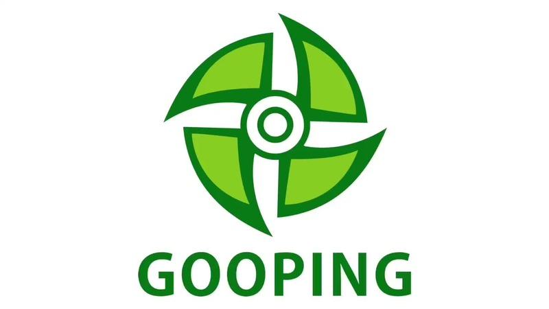 Verified China supplier - Ruian Gooping Auto Parts Co., Ltd.