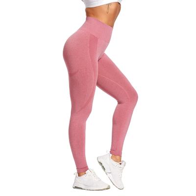 China Breathable Yoga Sports Clothing Thickened Waist Seamless Yoga Pants And Buttocks Fitness Top For Women for sale