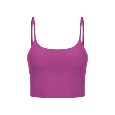 China China Manufacture Professional Breathable Mesh Sport Bra For Women Sports Bra for sale