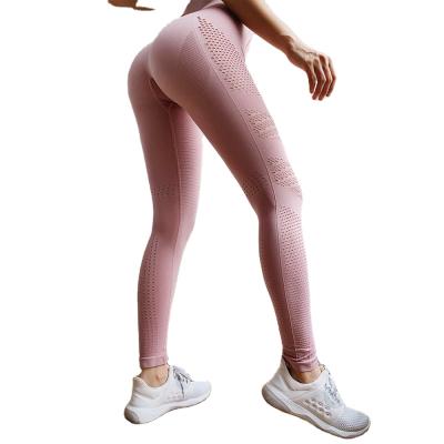 China Good Quality Breathable Hot Selling Fitness Pants Yoga Gaiters Women Yoga Gaiters for sale