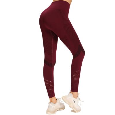 China Quality Assurance Breathable Fitness Pants Women High Waisted Gym Leggings For Sale for sale