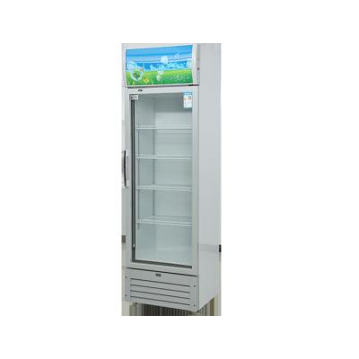 China Single-Temperature Display Commercial Refrigerator Single Door Glass Beer Fridge Beverage Cooler and Fridge for sale