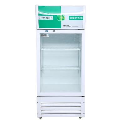 China Custom Mini Fridge Vaccine Medicine Fridge Freezer Medical Fridge For Sale for sale