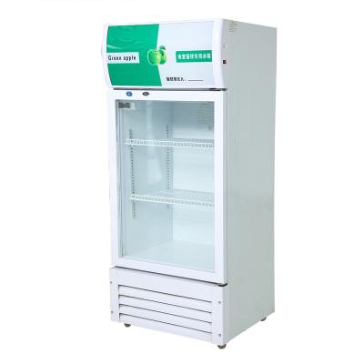 China Custom Medical Cryogenic Equipments Mini Refrigerator Pharmacy For Medicine for sale