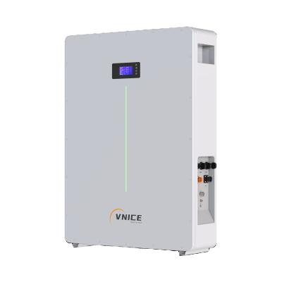 China VNICE Razzi 10K LifePO4 Appliances Household Solid State Battery 10Kwh Lithium 51.2V200Ah Ion Battery for Home and Solar Power Storage for sale