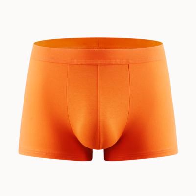 China Orange Men's Underwear Pure Cotton Antibacterial Fattening Up Comfortable Breathable Boxers for sale