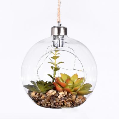 China Europe Hanging Glass Dome With LED Lights Fake Succulent Plant for sale