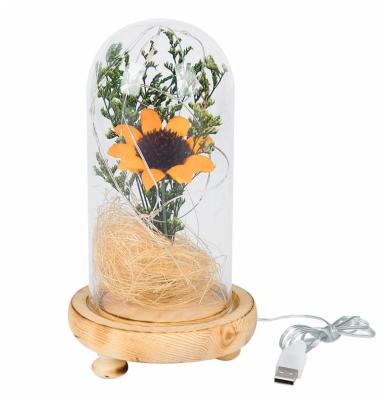 China China Eternal Sunflower Flower in Glass Dome with LED String Lights for Valentine's New Year for sale