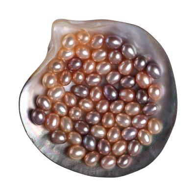 China Pearl AAA+ Grade 6.5~11.5mm Freshwater Drop Rice Loose Shape Pearl Coreless Natural Freshwater Pearl for sale