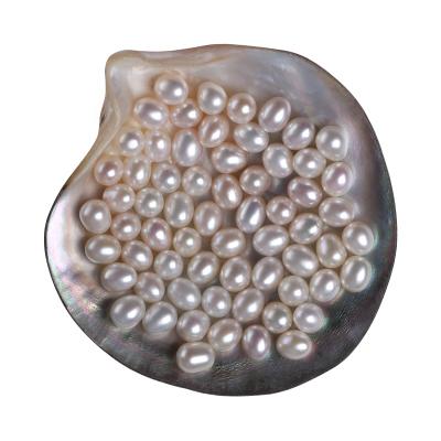 China Freshwater Pearl AAA Grade 6.5~11.5mm Drop Rice Loose Shape Pearl Coreless Natural Freshwater Pearl for sale