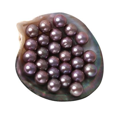 China Freshwater Pearl AAAA Grade 9~17mm Edison Loose Pearl Natural Freshwater Pearl for sale