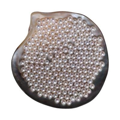 China Natural Saltwater Pearl AA+ Grade Japanese Akoya Pearl 3~6.5mm Loose Pearl Pearl White Color (Medium Shine) Real Loose Pearl for sale