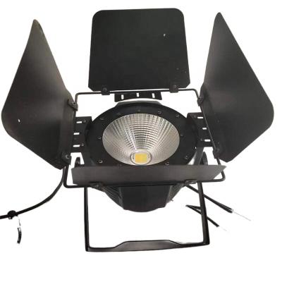 China Bar Club DJ Stage Par Color Theme Park Hot Selling Cob 100W Warm And White Lighting for sale