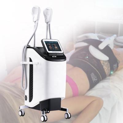 China Skin Tightening 2020 Latest Neo Technology EMS Fat Sculpting Machine Body Slimming Cutting Machine for sale