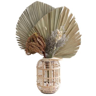 China Eternal Life Flowers and Plants Wholesale Decoration Wedding Hot Dried Palm Leaves Cattail Leaf Fan for sale