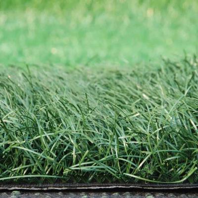 China 20mm Pile Height Artificial Grass And Can be Installed On Dirt With Latex Or PU Backing for sale