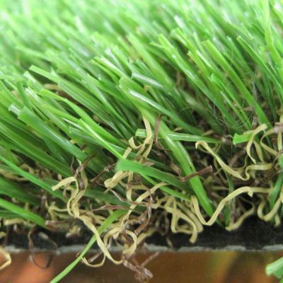 China 140 Stitches/M Synthetic Grass Fake Putting Green Turf Used in Backyards for sale