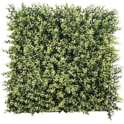 China Green Artificial Wall Grass Decorating Photo Walls Backdrops Of Important Events Weddings for sale