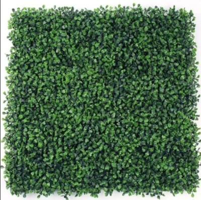 China Tamaño 50cm*50cm Hierba de pared artificial Resistente a los rayos UV Durable Appeal estético duradero en venta