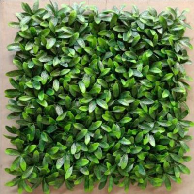 China PE Artificial Grass Panels Eco Friendly For Room Decoration And Cafe Beautification for sale