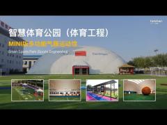 2025 New Venue taishan sports grass