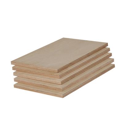 China Low formaldehyde waterproof bb-8 board nxt LVL phenolic wbp glue plywood wood ply plywoods for sale