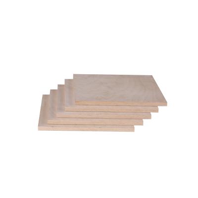 China Modern Indoor Use BB/CC Board For Decoration Eucalyptus Core Sheet Plywood Melamine Waterproof Board for sale