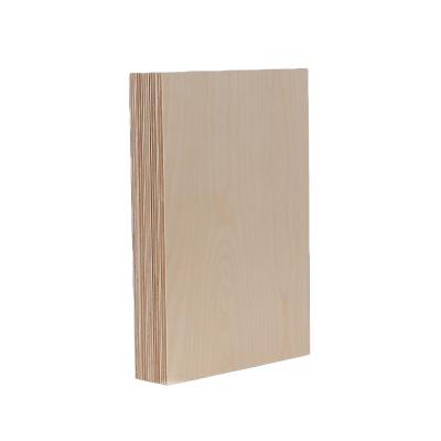 China Modern JAS Birch Plywood 9mm T2 G2 Birch OP Face And Larch Back Core Use Plywood Interior Sheet for sale